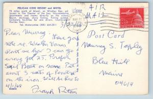 Postcard FL Islamorada Windley Key Pelican Cove Resort & Motel c1960s G23