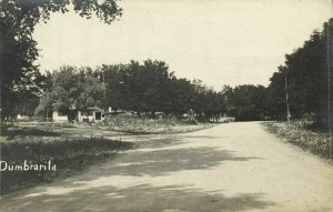 romania, DUMBRĂVIȚA DUMBRARITA, Village Scene (1910s) RPPC Postcard (2)