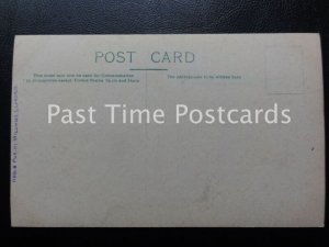 c1911 RPPC, Llandilo,(Llandeilo) Edwinsford - A merry Christmas & Happy New Year