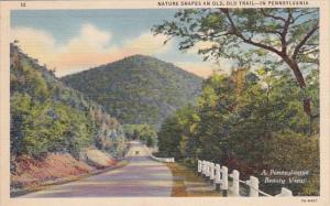 Nature Drapes An Old Old Trail In Pennstlvania 1938