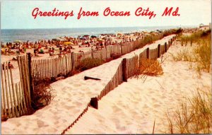 Maryland Greetings From Ocean City With Beach Scene