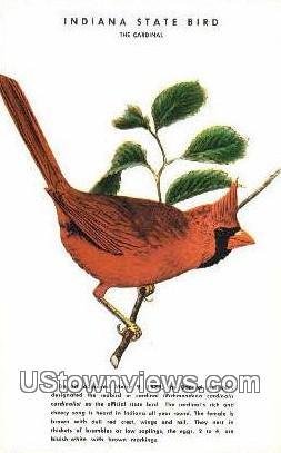 The Cardinal - Indiana , Indiana IN