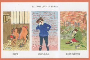 The Three Ages Of Women Womans Hormones Nurse Painting Postcard