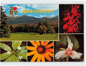 Postcard I Love New York Adirondacks, New York