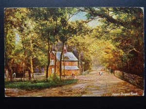 Sussex UPPER BOGNOR ROAD c1920 Postcard by S. Hildesheimer