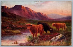 Postcard c1943 Tucks Oilette Highland Cattle A/S A Sherrin Field Post Office 130