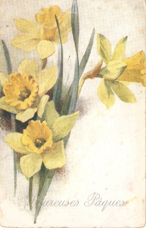 Alice Price King. Favourite Flowers Tuck Oilette Postcard # 9601