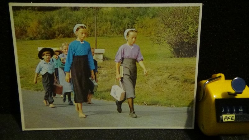 Continental Amish Country Children Walking Home From School Lancaster Pennsylvan