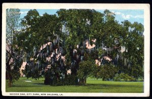 Louisiana NEW ORLEANS Suicide Oak, City Park - WB