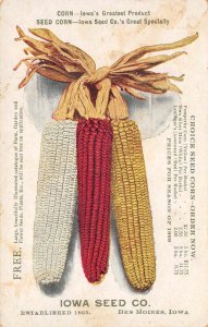 Farming IOWA SEED CO. Des Moines, IA CORN Agriculture ca 1910s Antique Postcard