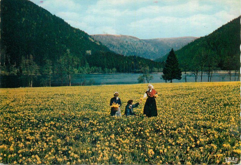 Postcard France les vosges pittoresque