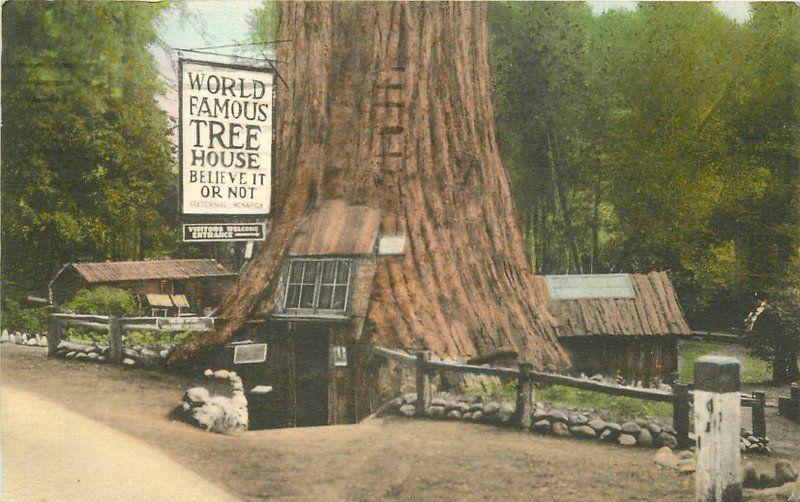 Albertype 1939 PIERCY CALIFORNIA House Lilley Redwood Park hand colored 4167