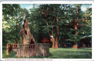 Kings Oak Savernake Forest Marlboro Wiltshire United Kingdom Postcard