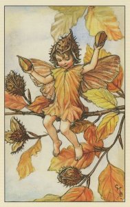 Beechnut Fairy of Autumn Flower Fairies Antique Book Stunning Postcard