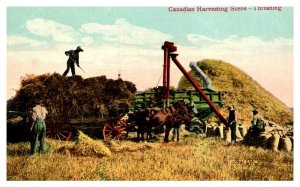 Threshing in Canada