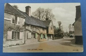 Vintage Valentines Postcard Vine Cottage Shere Surrey    E1C