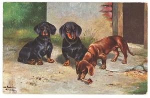 Dachshund Three Dogs Enjoying The Outsides Bone Artist Signed Postcard