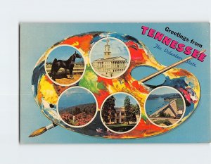 Postcard Greetings from Tennessee The Volunteer State USA
