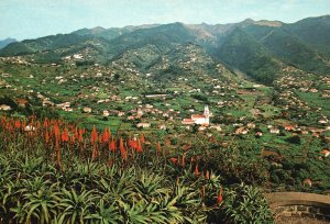 Vintage Postcard Ilha Da Madeira Vista Do Pico Dos Barcelos Funchal Portugal PT