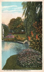 Vintage Postcard 1920's Willow Pond Landscapes East Avenue Rochester New York NY