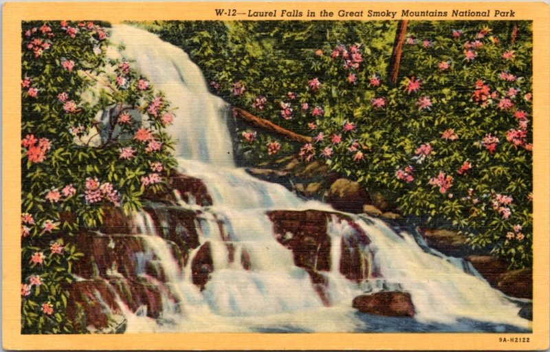 Postcard Great Smokey Mountains  - Laurel Falls
