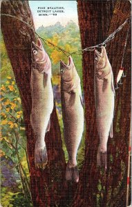 Pike Beauties Detroit Lakes Minn. Minnesota Vintage Postcard Standard View Card