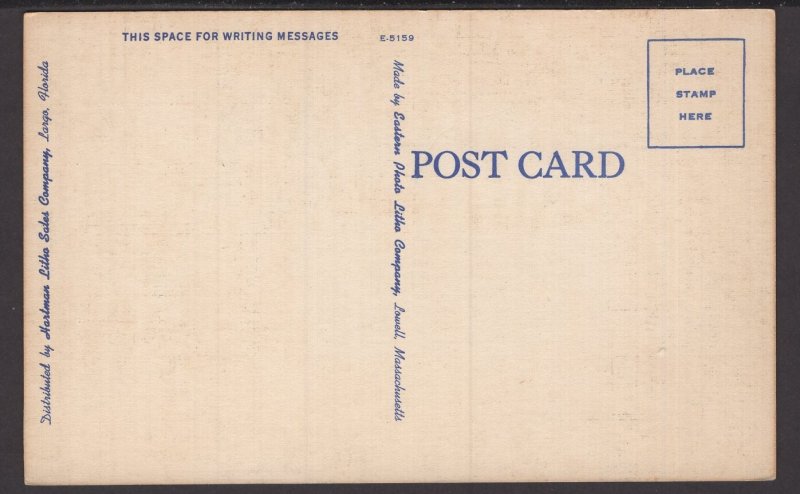 Florida Suwannee River - Way down upon the Suwannee River.. ~ Linen