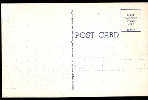 Florida The (Bignonia Venusta) The Flame Vine - Linen