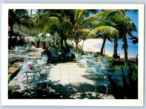 Puerto Rico Postcard Hyatt Dorado Beach Resort Beach Bar Bohio c1950's Vintage