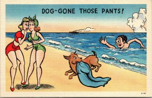 Vtg Comic Linen Postcard Sexy Women Beach Dog Steals Mans Pants Skinny Dipping