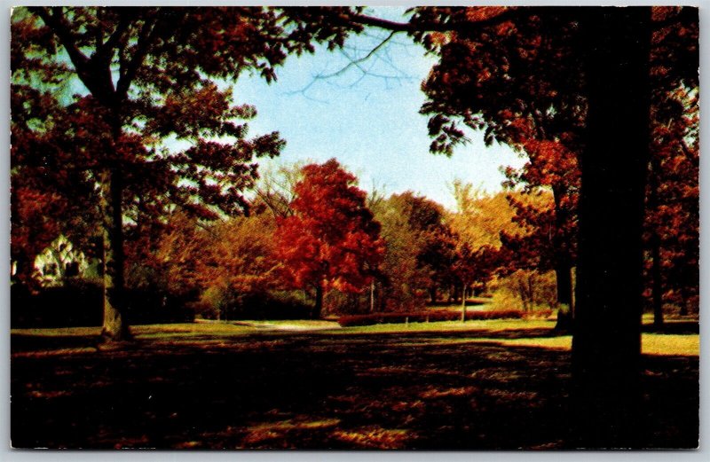 Vtg Greetings from Vassar Michigan MI Autumn Scene Scenic View 1950s Postcard