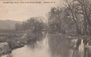 Tioughnioga River from Pine Street Bridge - Homer NY, New York - DB