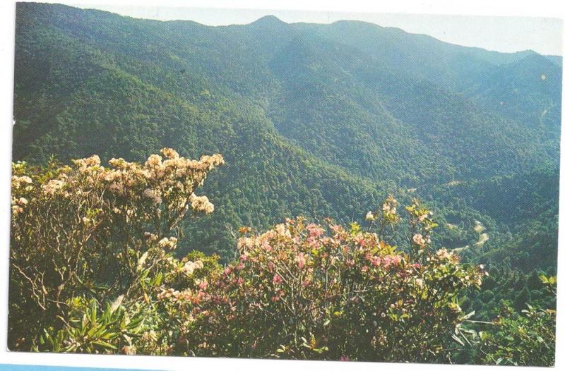 Great Smoky Mountains National Park Views ( 3 cards )