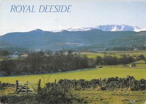 uk36495 royal deeside scotland uk lot 7 uk