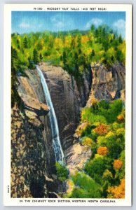 Western North Carolina Hickory Nut Falls Chimney Rock Vintage Postcard NC