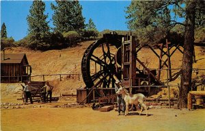 Columbia California 1960s Postcard Bonanza Replica Early Mining Operation
