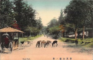 Beautiful Early c.1908, Japan, Deer at Nara Park,Nara, Old Post Card