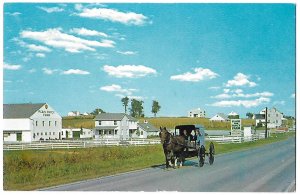 Amish Family Buggy Route 340 Near Intercourse Pennsylvania