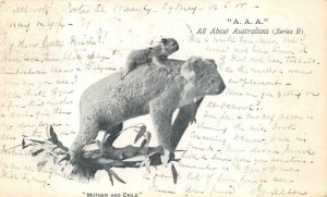 AUSTRALIA MOTHER & CHILD KOALA BEARS STAMPS SYDNEY TO USA POSTCARD 1904