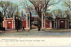 Postcard SCHOOL SCENE Cambridge Massachusetts MA AI5317
