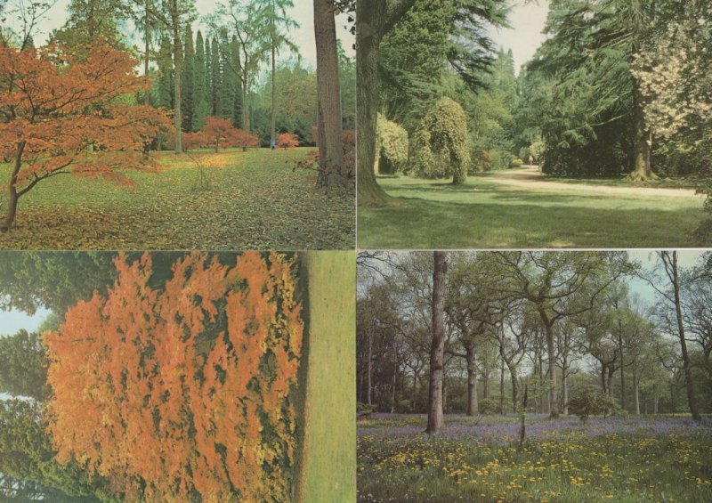 Westonbirt Arboretum 4x Beautiful Gloucester Postcard s