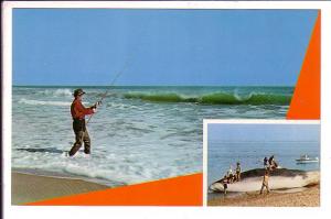 Surf Fishing for Striped Bass, Cape Cod,  Massachusetts Huge Fish Insert