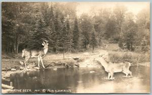 NATIVE DEER 1939 VINTAGE REAL PHOTO POSTCARD RPPC PHOTOMONTAGE collage montage