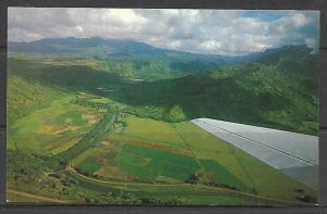 Hawaii, Kauai - Hanalei Valley - [HI-004]