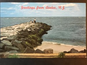 Vintage Postcard 1960-1970 Greeting from Avalon Stone Jetty Avalon New Jersey