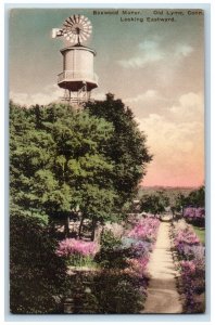 1910 Boxwood Manor Old Lyme Garden Connecticut Looking Eastward Vintage Postcard 