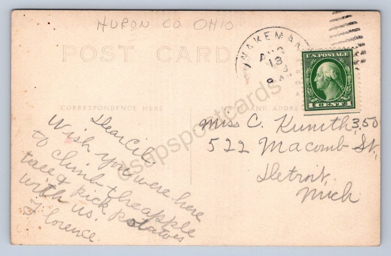 J87/ Wakeman Ohio RPPC Postcard c1910 Huron County Scott Store Main St 654