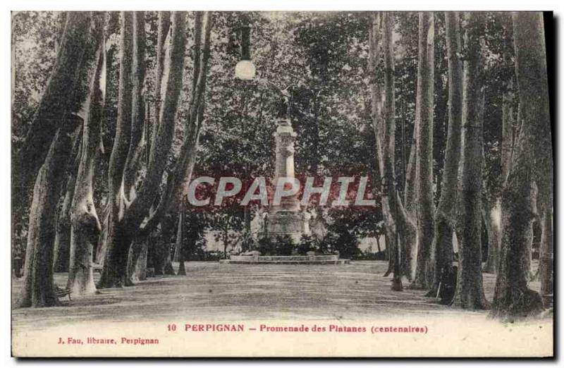 Old Postcard Perpignan Promenade des Platanes