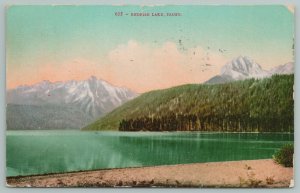 Idaho~Forest By Redfish Lake~Vintage Postcard