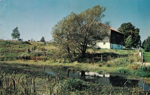 Canada Southern Ontario Farm Scene Vintage Postcard 07.77